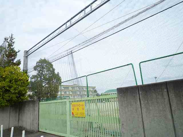 ��ˎs���w�Z�A�w�Z��A��ˎs�� ���q���w�Z�A���R���w�E�ʐ^4