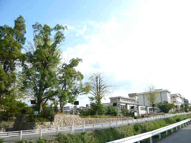 ��ˎs���w�Z�A�w�Z��A��ˎs�� ��ˑ�ꏬ�w�Z�A�t����w�E�ʐ^2