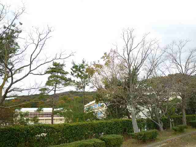 ��ˎs���w�Z�A�w�Z��A��ˎs�� ���R���䏬�w�Z�A���R�ω��w�E�ʐ^3